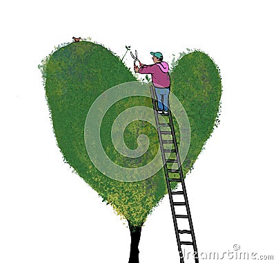 Trimming a heart bush Stock Photo