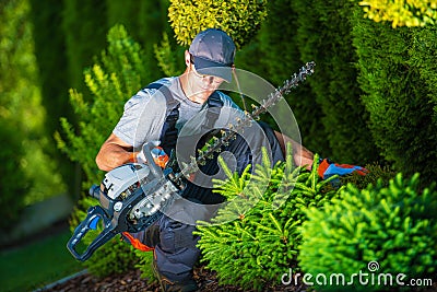 Trimming Work in a Garden Stock Photo