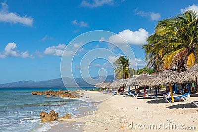 Trinidad, Cuba. Coconut on an exotic beach with palm tree entering the sea on the background of a sandy beach, azure water, and Editorial Stock Photo