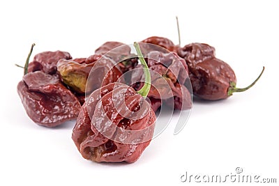 Trinidad moruga scorpion chocolate peppers Stock Photo