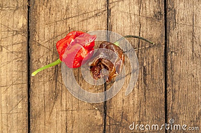 Trinidad moruga scorpion peppers, Stock Photo
