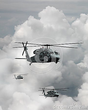 Trio of Blackhawks Stock Photo