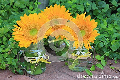 Trio of Sunflower Arrangements Stock Photo