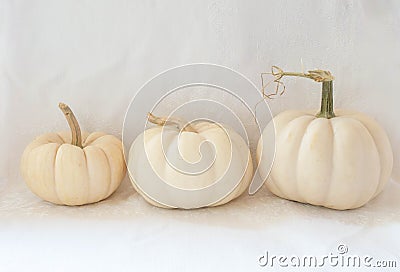 Trio of white gourds still life Stock Photo