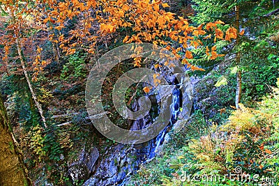 Trip to Mendelikh waterfalls, deep forest, waterfall Stock Photo