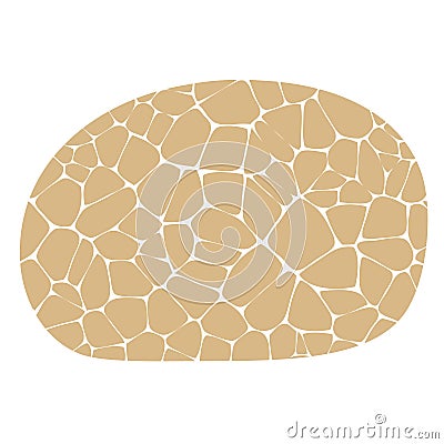 Tripe stomach of a cow used as food Vector Illustration