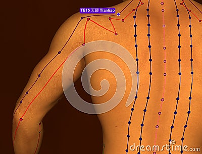 Acupuncture Point TE15 Tianliao, 3D Illustration, Brown Backgrou Stock Photo