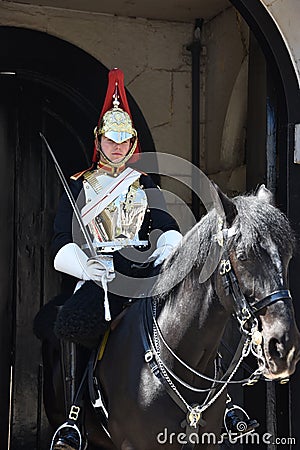 Trooper of the Blues and Royals. Editorial Stock Photo