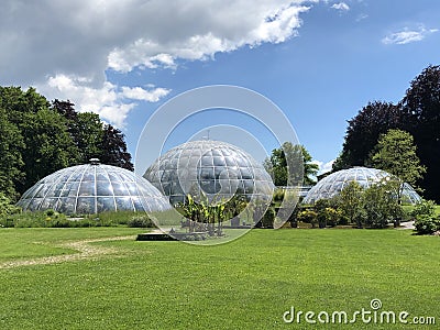 Tropenhaus - Botanical Garden of the University of Zurich or Botanischer Garten der Universitaet Zuerich Editorial Stock Photo