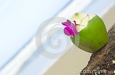 Tropic Stock Photo