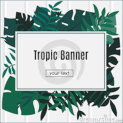 Tropic banner. Design template. Tropical leaves frame with blank space paper. Advertisement, flyer, background Vector Illustration