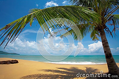 Tropic beach Stock Photo