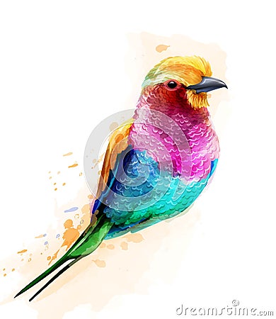 Tropic colorful bird Vector watercolor. Cute small bird illustrations Cartoon Illustration