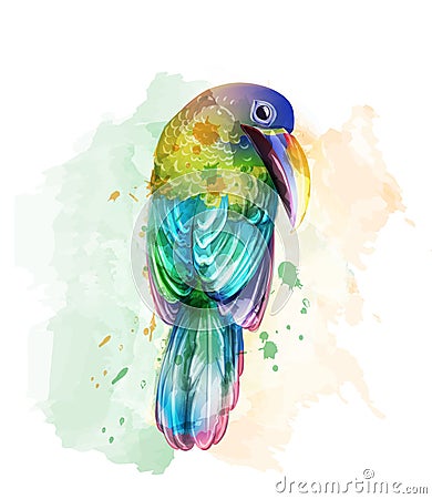 Tropic colorful parrot bird Vector watercolor. Cute bird illustration. blue colors splashs Cartoon Illustration