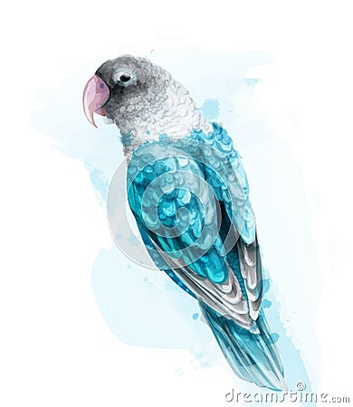 Tropic colorful parrot bird Vector watercolor. Cute bird illustration. blue colors splashs Cartoon Illustration