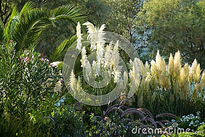 Tropic garden Stock Photo