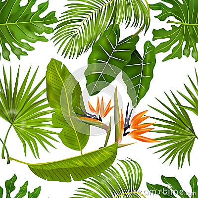 Tropic leaves pattern. Seamless texture with exotic leaves of jungle foliage, monstera and banana palm plants. Vector Vector Illustration