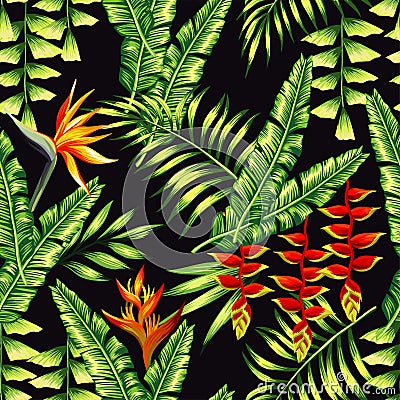 Tropic plants and palm trees Vector Illustration