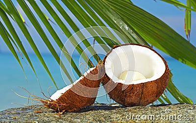Tropic scene Stock Photo