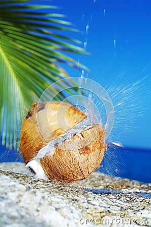 Tropic splash Stock Photo