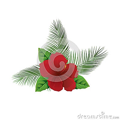 Tropic summer colorful flower and leaves. Vector Illustration
