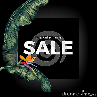Tropic summer night sale on black with Spathiphyllum leaves Vector Illustration