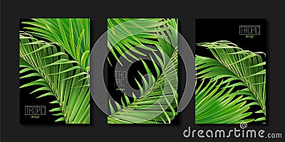 741_Vector tropical banners set. Palm leaf with text on black background. Vector Illustration