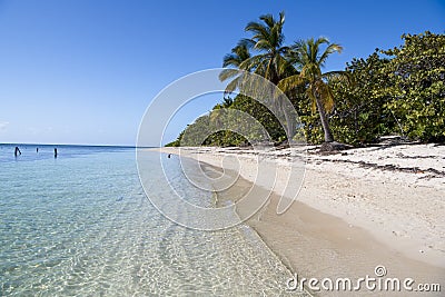 Lush vegetation on natural beach in Tropes Editorial Stock Photo