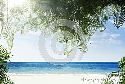 Tropic view Stock Photo