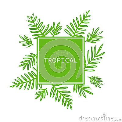 Tropical abstract vector border with palm leaves. Exotic tree foliage made in brush style with place for your text. Vector Illustration