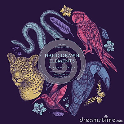 Tropical animals circle design. Hand drawn leopard, snake, hummingbird, toucan, scarlet macaw, african giant swallowtail Vector Illustration