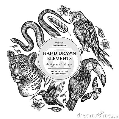 Tropical animals circle design. Hand drawn leopard, snake, hummingbird, toucan, scarlet macaw, african giant swallowtail Vector Illustration