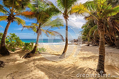 Tropical Anse Intendance beach at Seychelles in Mahe Island Stock Photo