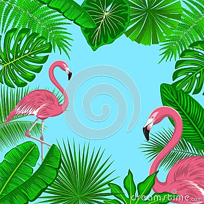 Tropical Background Frame with Exotic Jungle Leaves and Pink Flamingos. Vector Illustration