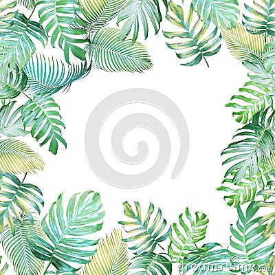 Tropical background with Monstera philodendron and palm leaves i Stock Photo