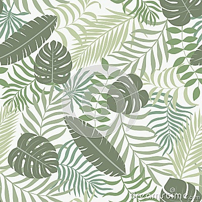 Tropical background with palm leaves. Vector Illustration