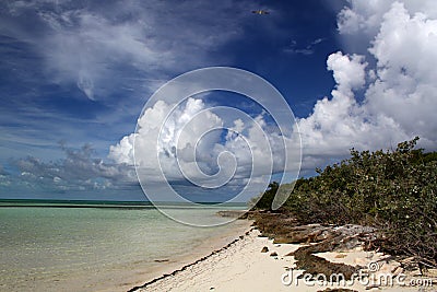 Tropical Bahama Beach Stock Photo