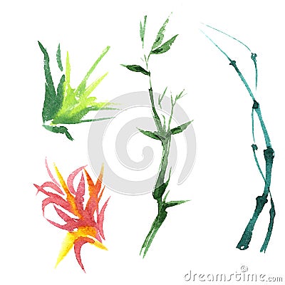 Tropical bamboo in a watercolor style isolated. Stock Photo