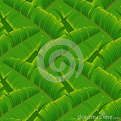 Tropical banana leaves seamless pattern Vector Illustration