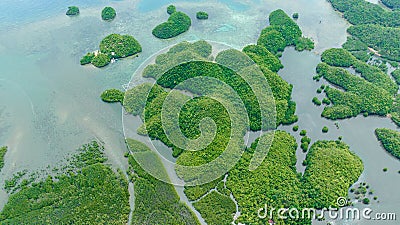 Tropical bay and islands. Philippines. Stock Photo