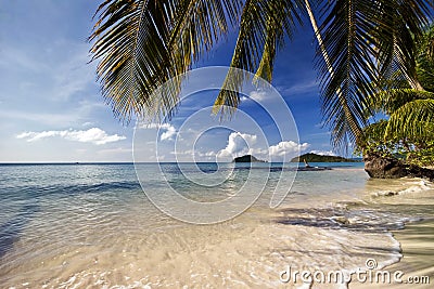 On the tropical beach Stock Photo