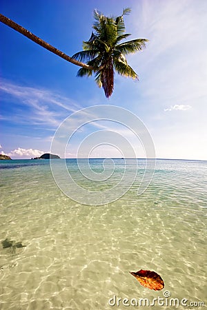 On the tropical beach Stock Photo