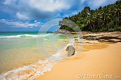 On the tropical beach Stock Photo