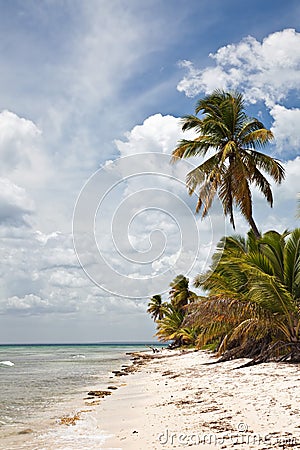 Tropical Beach Stock Photo