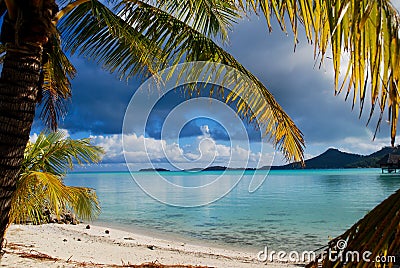 Tropical beach Stock Photo