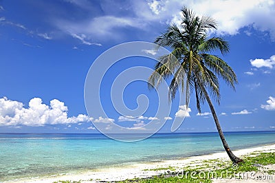 Tropical beach Stock Photo