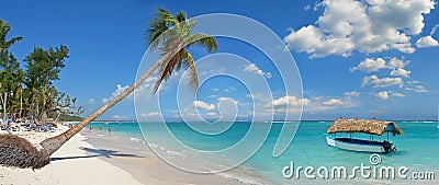 Tropical Beach Stock Photo