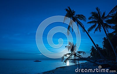 Tropical beach background of night view from Dumaluan Beach Editorial Stock Photo