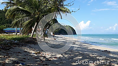 Tropical beach and coconut trees Stock Photo