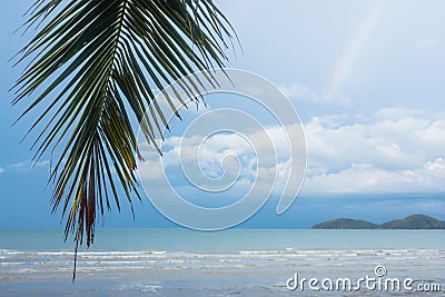 Tropical beach Stock Photo